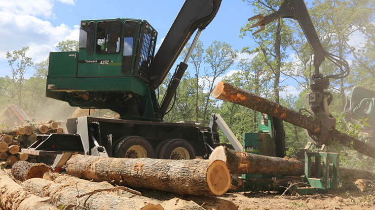 Modern, mobile forestry equipment is shown harvesting mature trees.